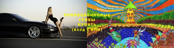 spice Белокуриха