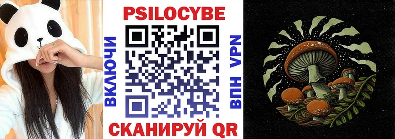что такое   Кулебаки  Галлюциногенные грибы ЛСД 