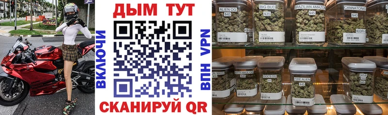 Конопля план  где можно купить наркотик  Кулебаки 
